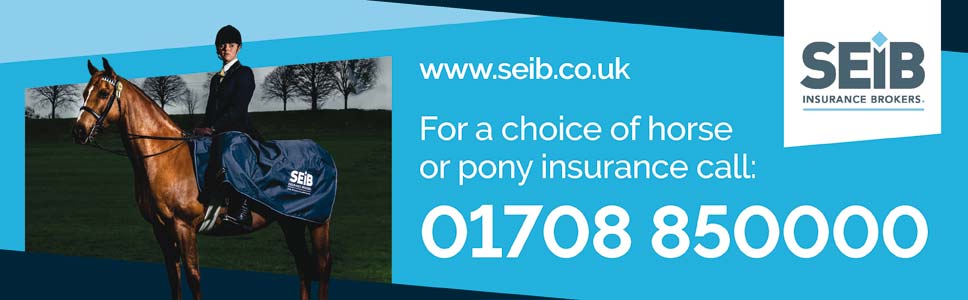 seib pony insurance