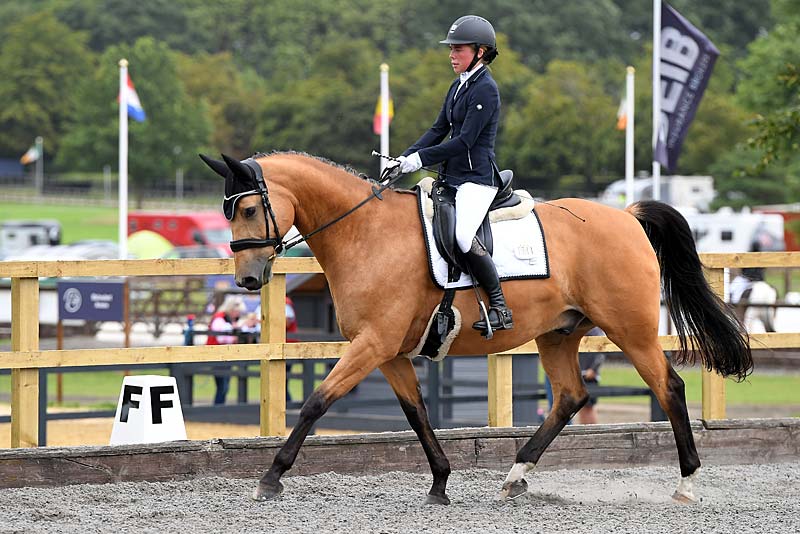 dressage rules trailblazers