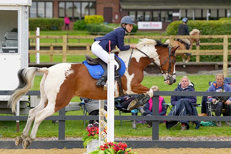 trailblazers genral show rules